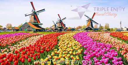 TE326  : โปรแกรมทัวร์ยุโรป เยอรมัน เนเธอร์แลนด์ ลักเซมเบิร์ก เทศกาลดอกทิวลิป 8 วัน 5 คืน (TG)