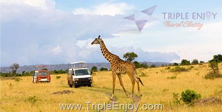 TE342  : โปรแกรมทัวร์เคนย่า Kenya Land of Safari 10 วัน 8 คืน (EK)