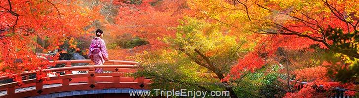 TE143 : ทัวร์ญี่ปุ่น นิกโก้ เซนได โตเกียว เส้นทางใบไม้เปลี่ยนสีอิโระฮะซากะ 7 วัน 4 คืน (TG)