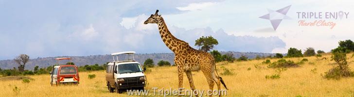 TE342 : โปรแกรมทัวร์เคนย่า Kenya Land of Safari 10 วัน 8 คืน (EK)