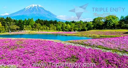 TE142 : ทัวร์ญี่ปุ่น โตเกียว อิบารากิ นิกโก้ (FLOWER BLOOMING) 6 วัน 4 คืน (TG)
