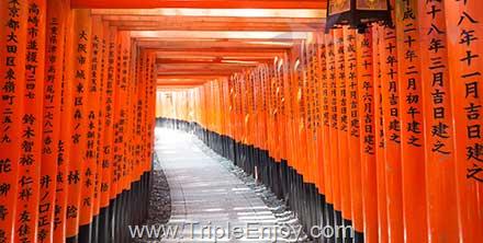 TE307 : ทัวร์ญี่ปุ่น โอซาก้า โกเบ ศาลเจ้าฟูชิมิอินาริ 6 วัน 4 คืน (TG) [เทศกาลปีใหม่]